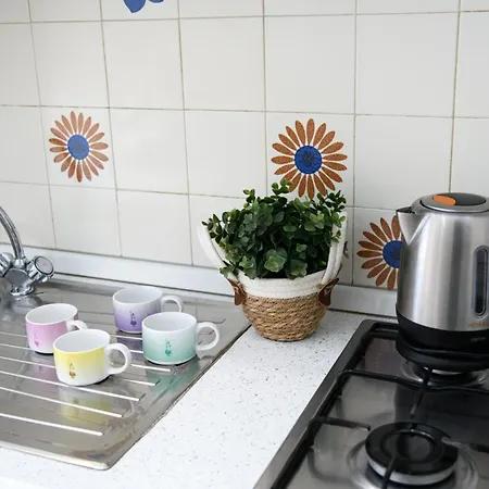 Apartment Testa's House