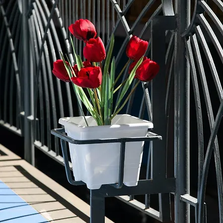 Testa's House Apartment Sorrento